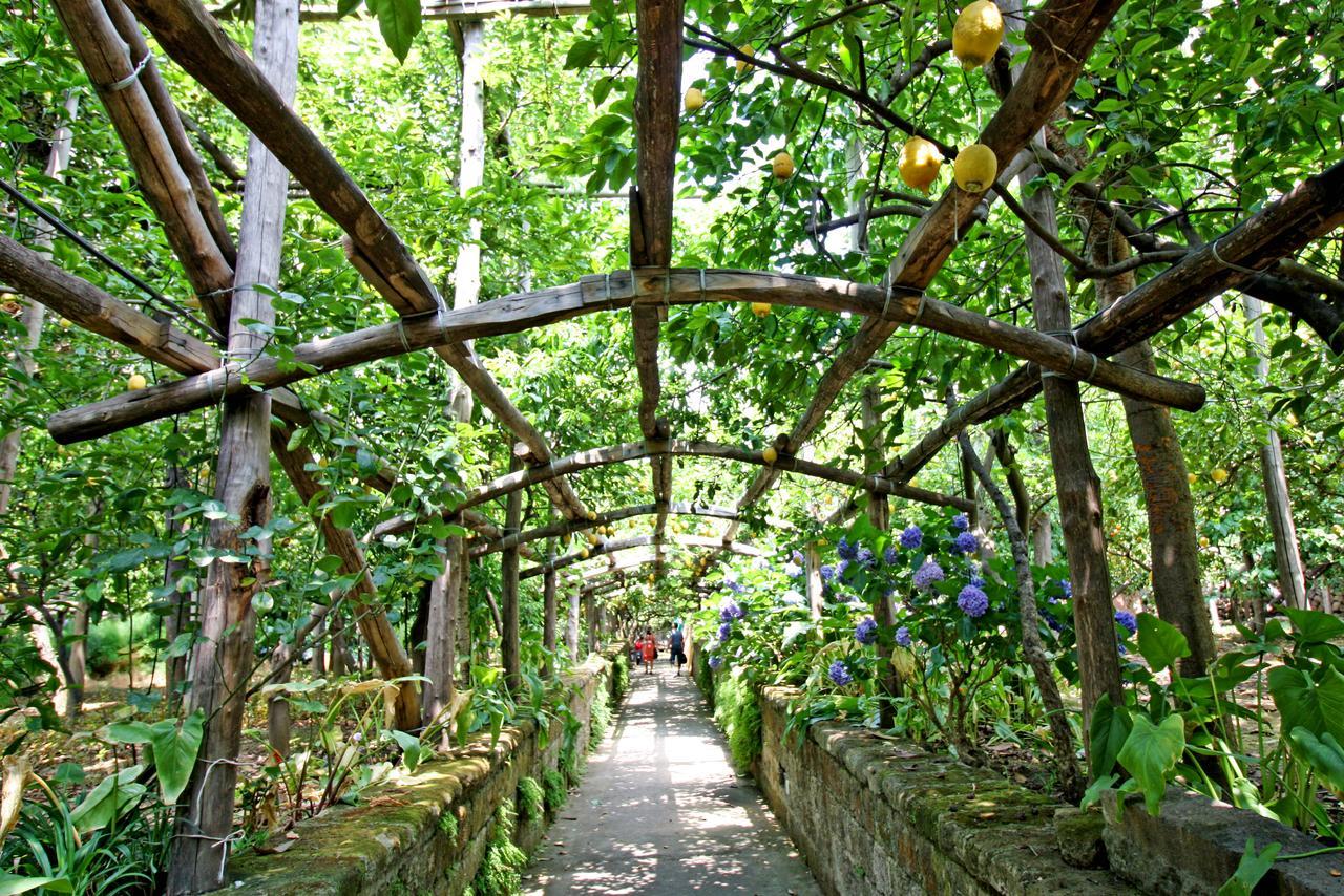 I Giardini Di Cataldo Sorrento 빌라 외부 사진