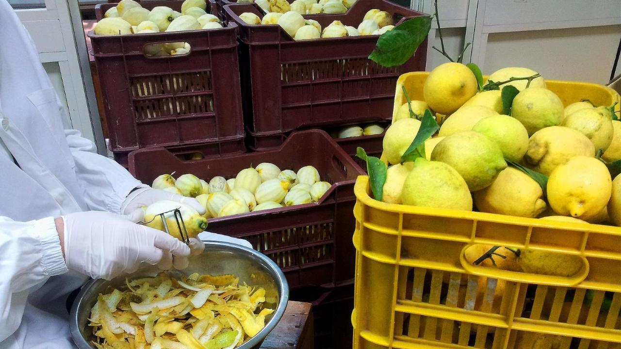 I Giardini Di Cataldo Sorrento 빌라 외부 사진