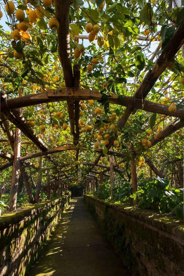 I Giardini Di Cataldo Sorrento 빌라 외부 사진